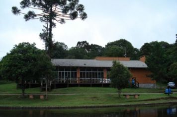 Foto - Parque das Araucárias