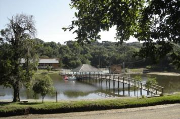 Foto - Parque das Araucárias