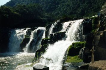 Foto - Perau de Janeiro