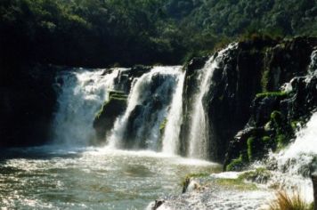 Foto - Perau de Janeiro