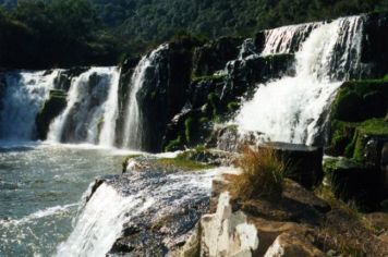 Foto - Perau de Janeiro