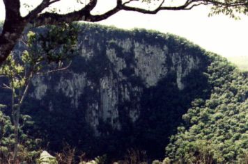 Foto - Perau de Janeiro