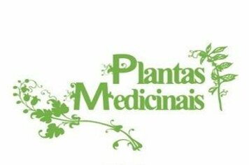 ALFABETIZANDO PARA PROFISSIONALIZAR