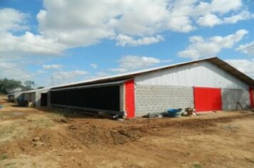 Investimento em Avicultura
