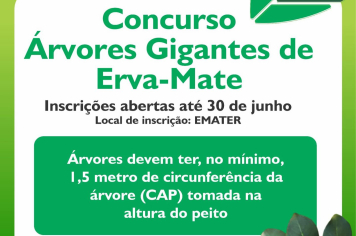 Concurso Árvores Gigantes do RS – 2024/2025 – Ano da Erva-Mate