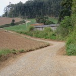 Estradas