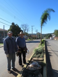 Canteiro principal está sendo revitalizado
