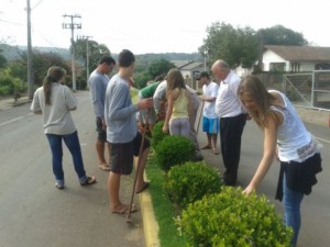 Curso de Jardinagem