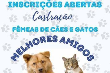 PREFEITURA INICIA INSCRIÇÕES PARA CASTRAÇÃO DE FÊMEAS DE CÃES E GATOS