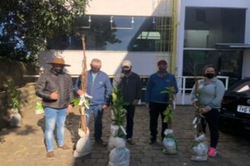 ADMINISTRAÇÃO MUNICIPAL REALIZOU A ENTREGA DE MUDAS DE ÁRVORES FRUTÍFERAS E ORNAMENTAIS