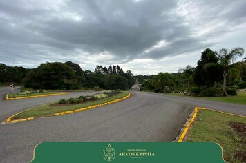ARVOREZINHA ESTARÁ MAIS ILUMINADA