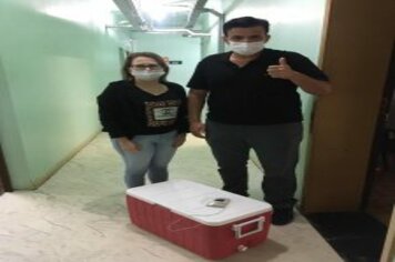 ARVOREZINHA CONTRA COVID-19