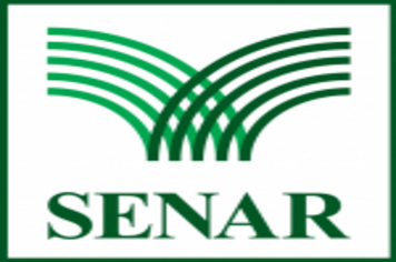 CRAS INICIA HOJE CURSO DE PRODUÇÃO DE PLANTAS ORNAMENTAIS E ESTÁ COM INSCRIÇÕES ABERTAS PARA O CURSO DE MACRAMÊ