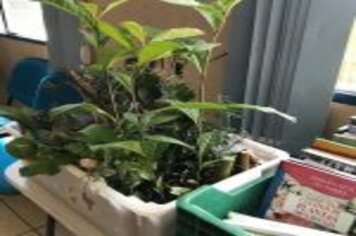 CURSO DE PLANTAS MEDICINAIS FOI CONCLUÍDO NESTA SEMANA