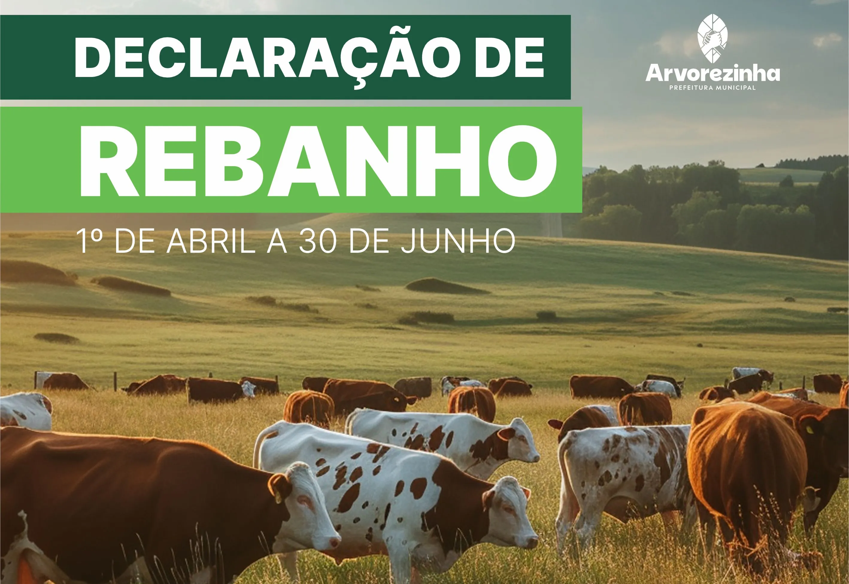 Atualização Cadastral e Declaração de Rebanho 2026