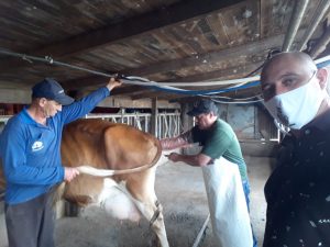 BEM ESTAR ANIMAL E INSEMINAÇÃO