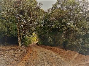 SECRETARIA MUNICIPAL DE OBRAS SEGUE COM TRABALHO DE RECUPERAÇÃO DE ESTRADAS